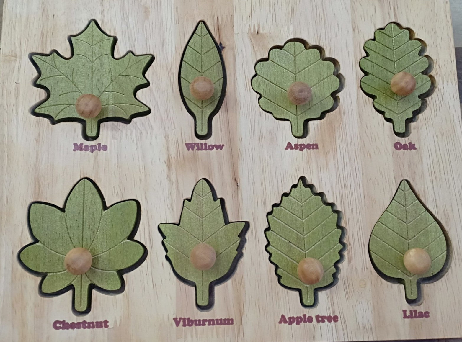 Qtoys Montessori Leaf Puzzle | Children of the Wild