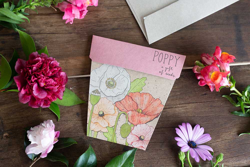 Sow n' Sow Gift of Seeds - Poppy | Children of the Wild