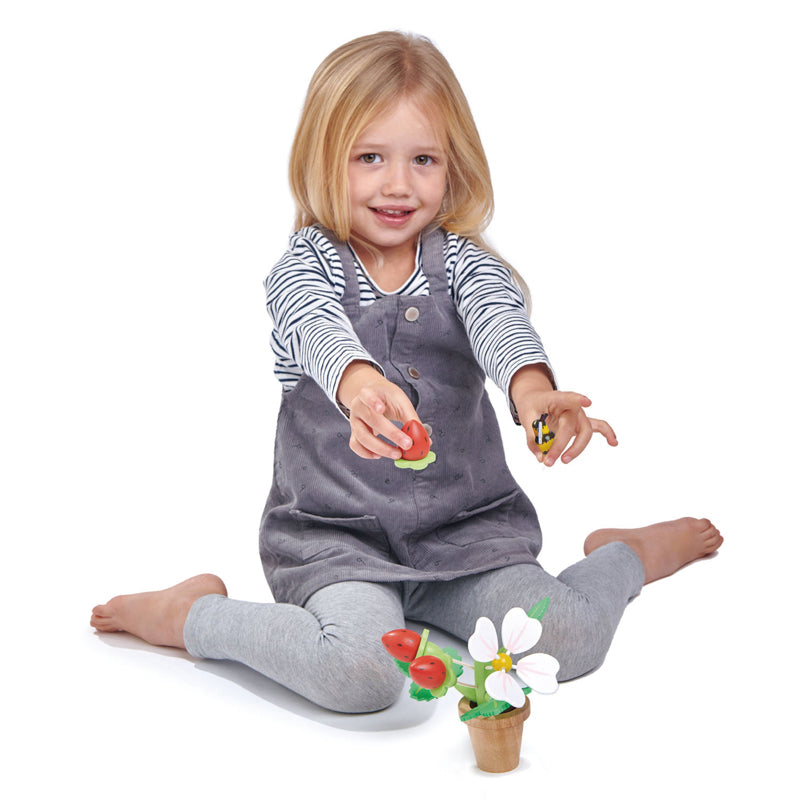 Tender Leaf Toys - Strawberry Flower Pot