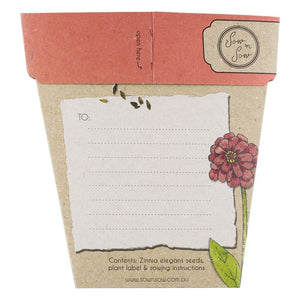 Sow n' Sow Hooray Zinnia Gift of Seeds | 40% OFF | Children of the Wild