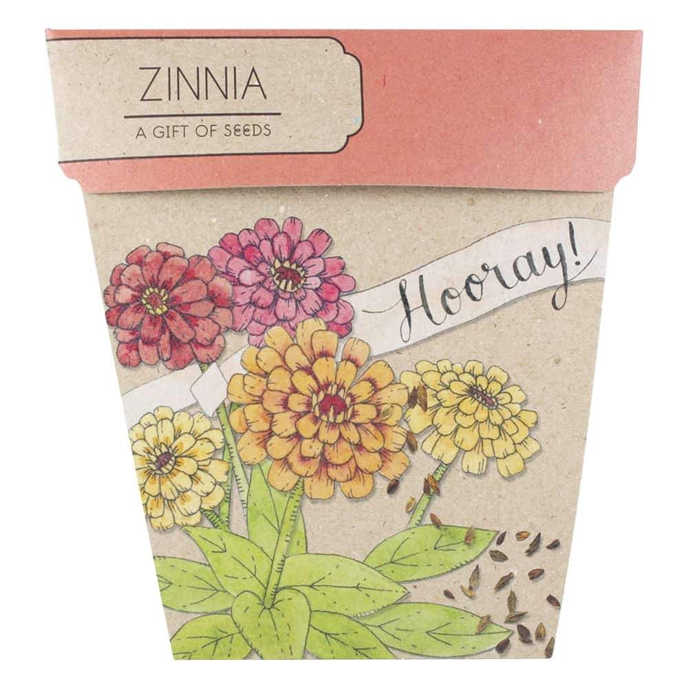 Sow n' Sow - Hooray Zinnia Gift of Seeds | Children of the Wild