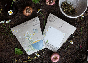 Sow n' Sow Chamomile Gift of Seeds | 25% OFF | Children of the Wild