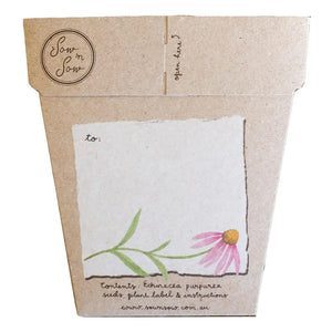 Sow n' Sow - Echinacea Gift of Seeds | Children of the Wild