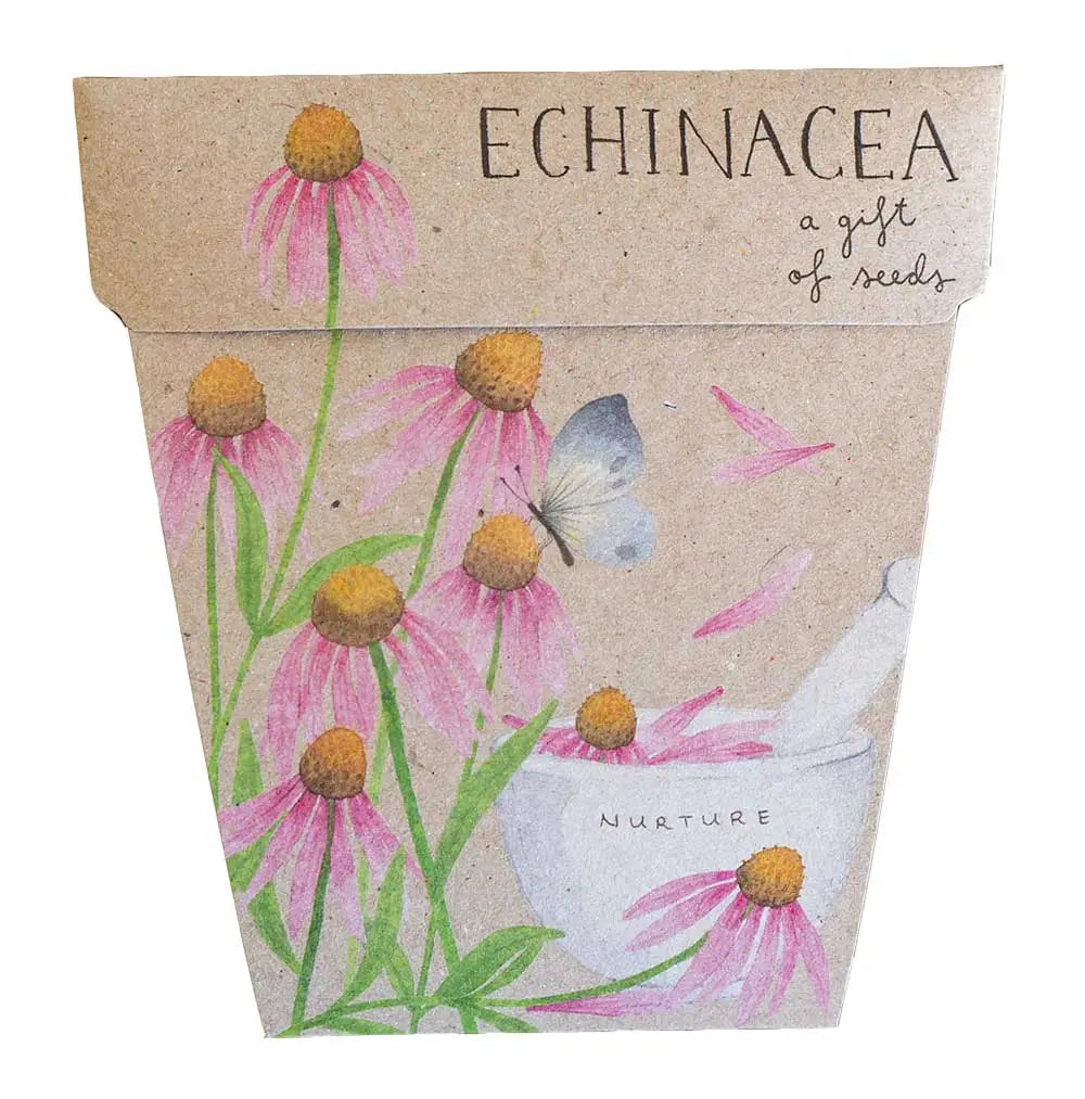 Sow n' Sow - Echinacea Gift of Seeds | Children of the Wild