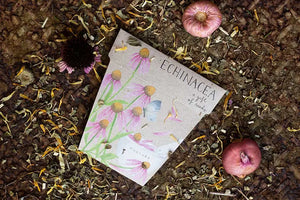 Sow n' Sow - Echinacea Gift of Seeds | Children of the Wild