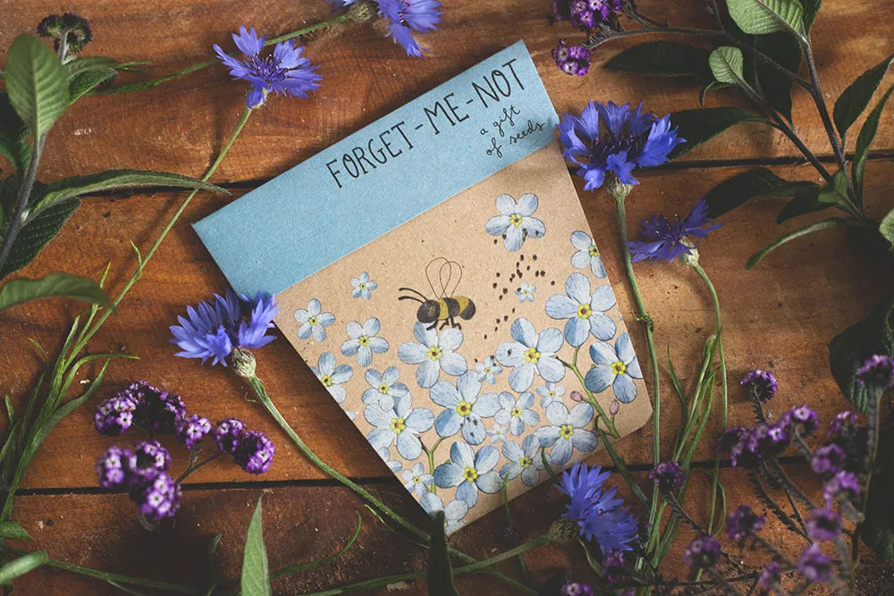 Sow n' Sow - Forget Me Not Gift of Seeds | Children of the Wild