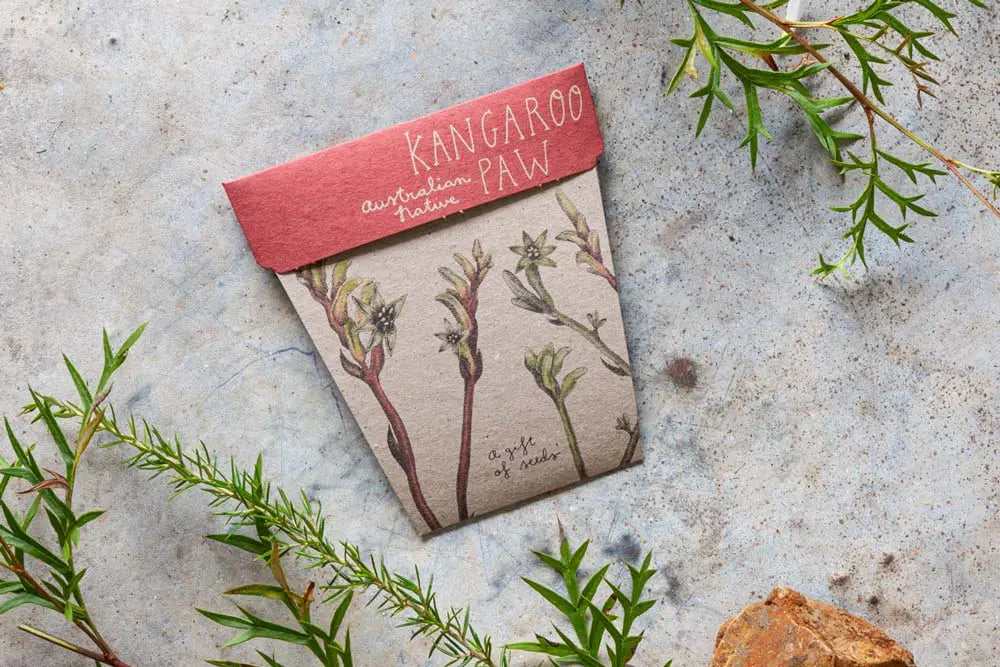 Sow n' Sow - Kangaroo Paw Gift of Seeds | Children of the Wild