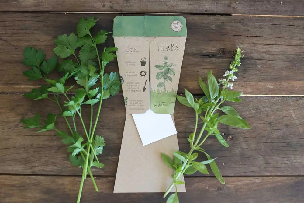 Sow n' Sow - Trio of Herbs Gift of Seeds | 30% OFF | Children of the Wild