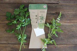 Sow n' Sow - Trio of Herbs Gift of Seeds | 30% OFF | Children of the Wild