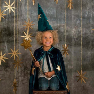 Numero 74 Velvet Merlino Wizard Hat | Children of the Wild