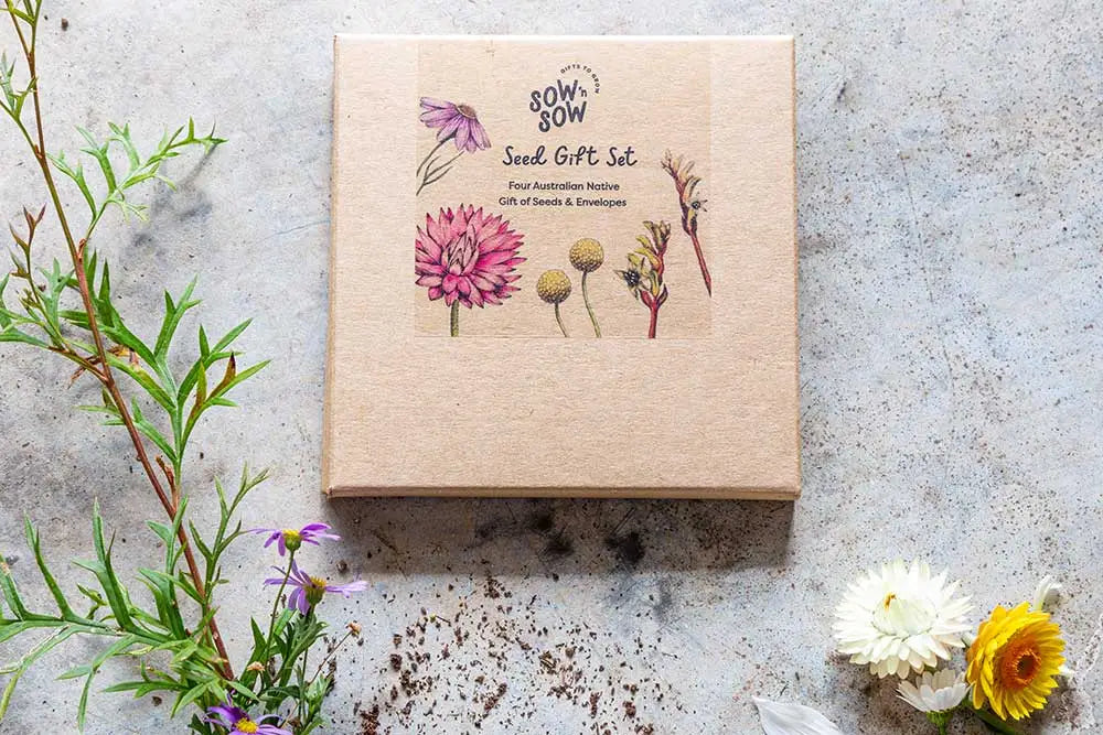 Sow n' Sow - Australian Native Seed Gift Set | Children of the Wild