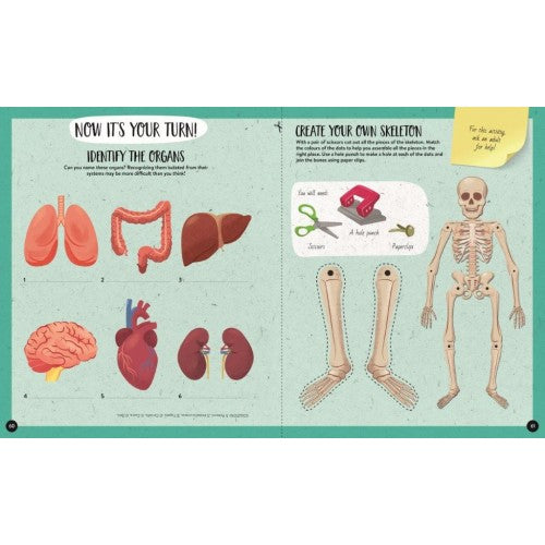 Sassi Junior The Ultimate Atlas and Puzzle Set - Human Body 3D Model and Puzzle | Children of the Wild