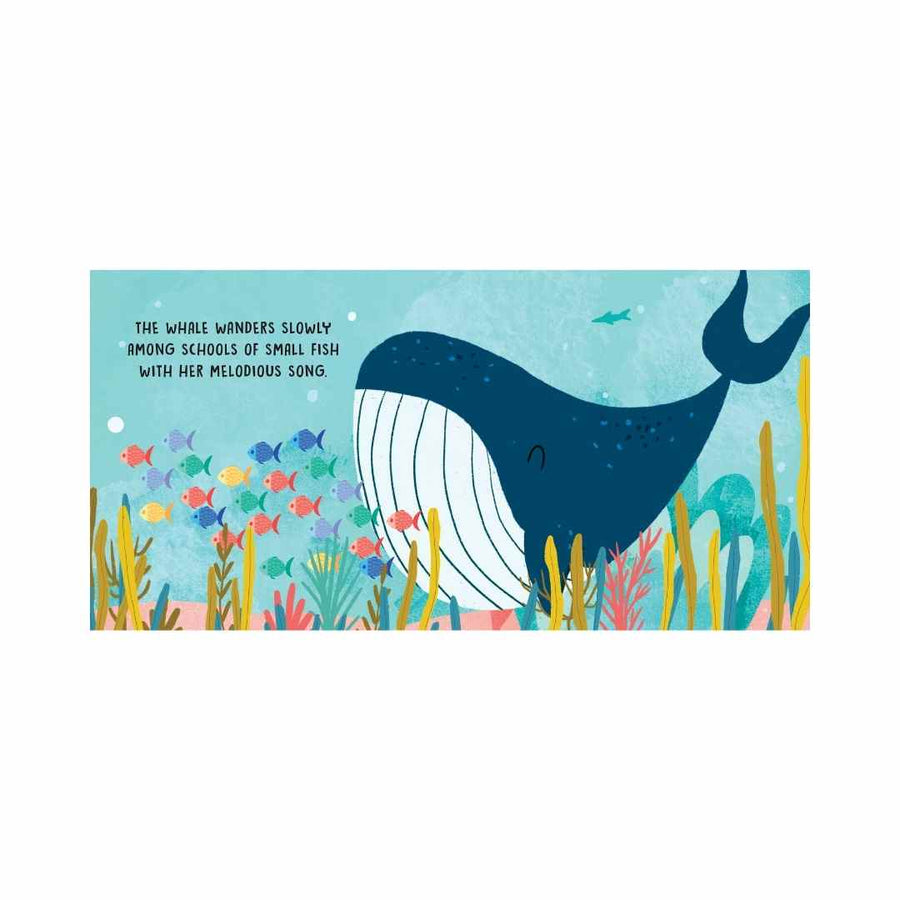 Sassi Board Book Sweet Sounds Stories - The Sea | Children of the Wild