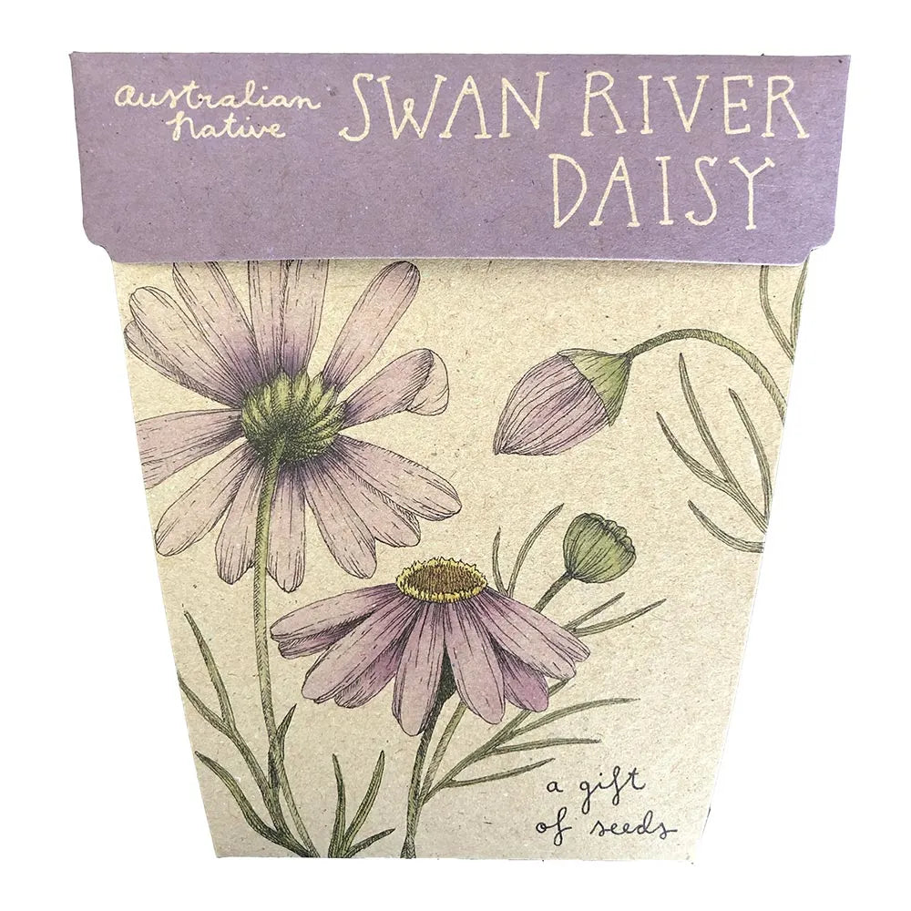 Sow n' Sow - Swan River Daisy Gift of Seeds | 25% OFF | Children of the Wild