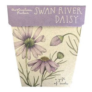 Sow n' Sow - Swan River Daisy Gift of Seeds | 25% OFF | Children of the Wild