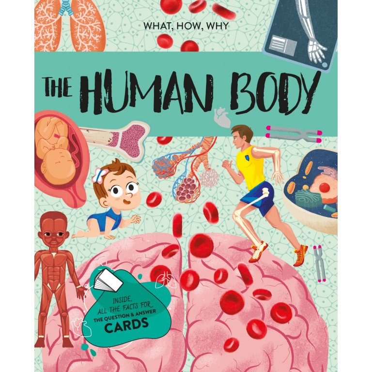 Sassi Junior The Ultimate Atlas and Puzzle Set - Human Body 3D Model and Puzzle | Children of the Wild