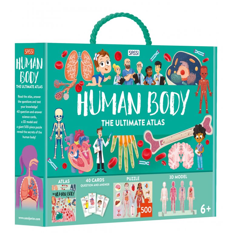 Sassi Junior The Ultimate Atlas and Puzzle Set - Human Body 3D Model a ...