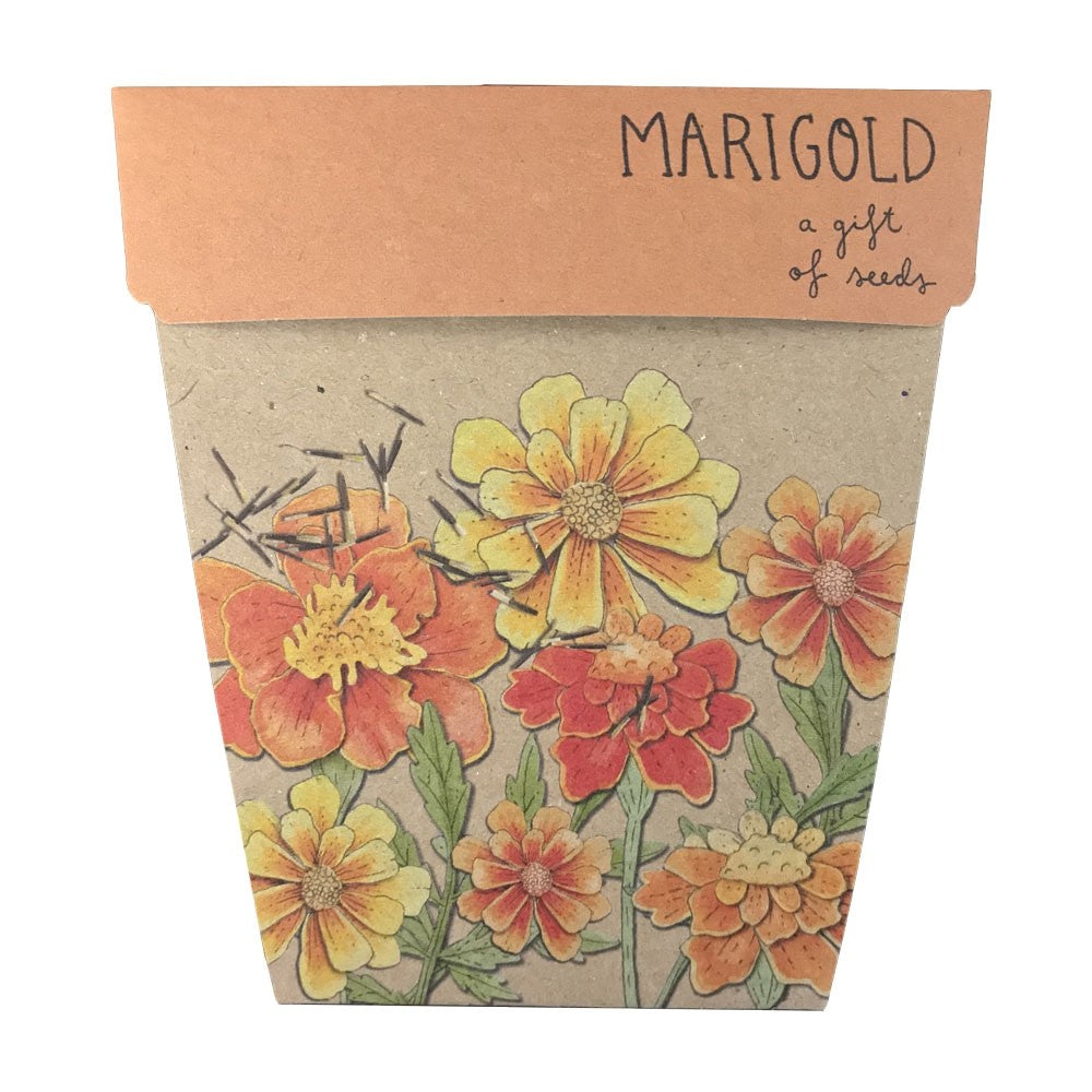Sow n' Sow Gift of Seeds - Marigolds | Children of the Wild