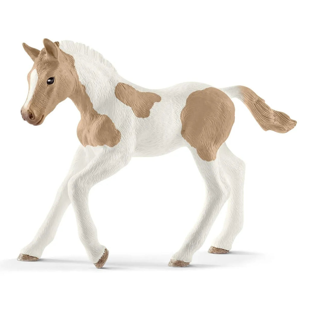 Schleich Paint Horse Foal 13886 | 30% OFF | Children of the Wild
