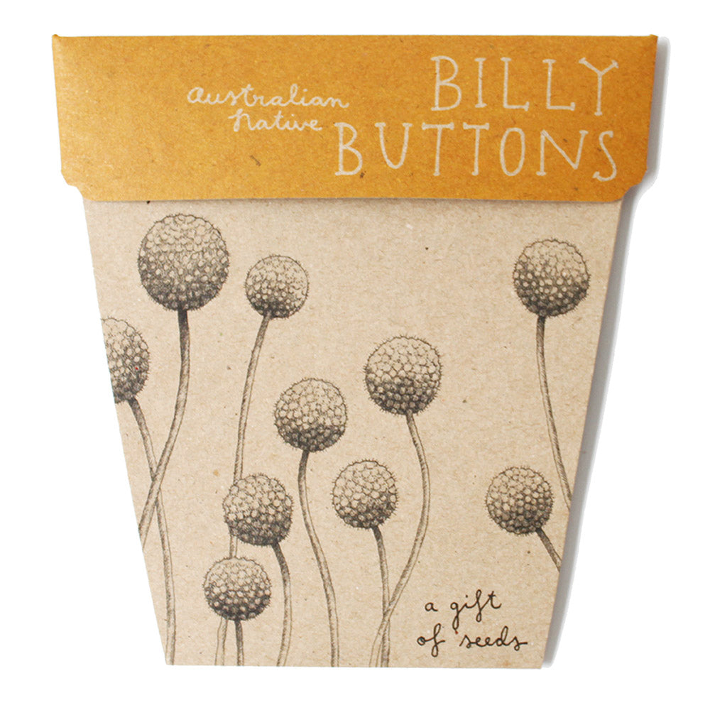 Sow n' Sow Gift of Seeds - Billy Buttons | Children of the Wild
