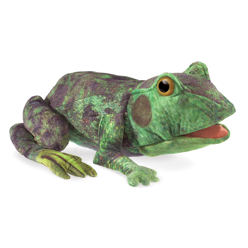 Folkmanis Frog Lifecycle Puppet | Children of the Wild