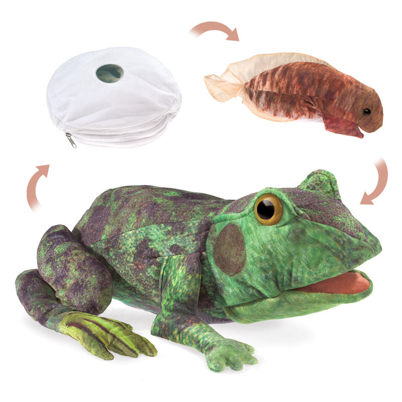 Folkmanis Frog Lifecycle Puppet | Children of the Wild