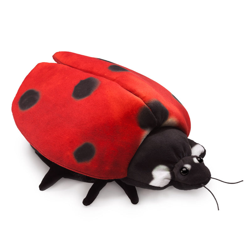 Folkmanis Ladybug Life Cycle Puppet | Children of the Wild