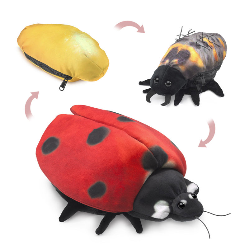 Folkmanis Ladybug Life Cycle Puppet | Children of the Wild