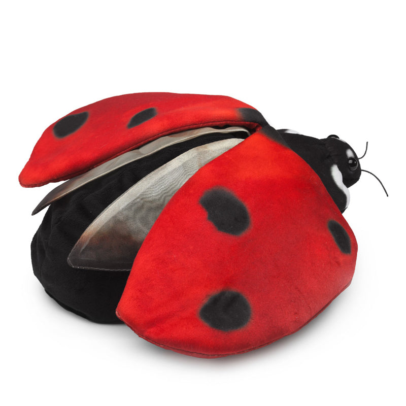 Folkmanis Ladybug Life Cycle Puppet | Children of the Wild