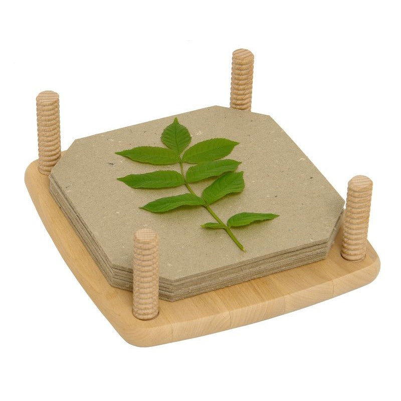 Drewart Wooden Maple Flower Press | Children of the Wild