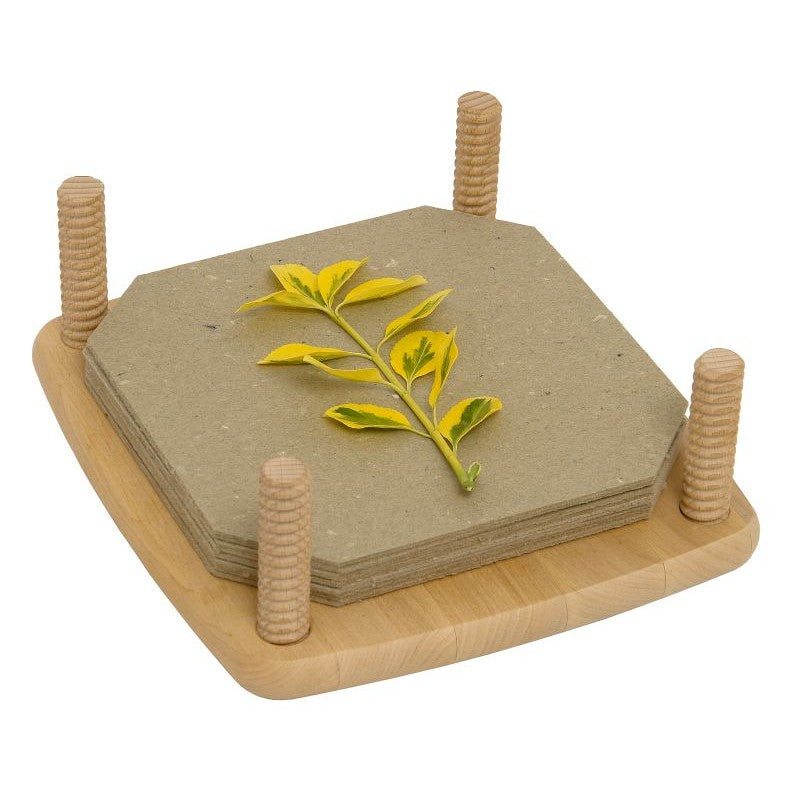 Drewart Wooden Maple Flower Press | Children of the Wild