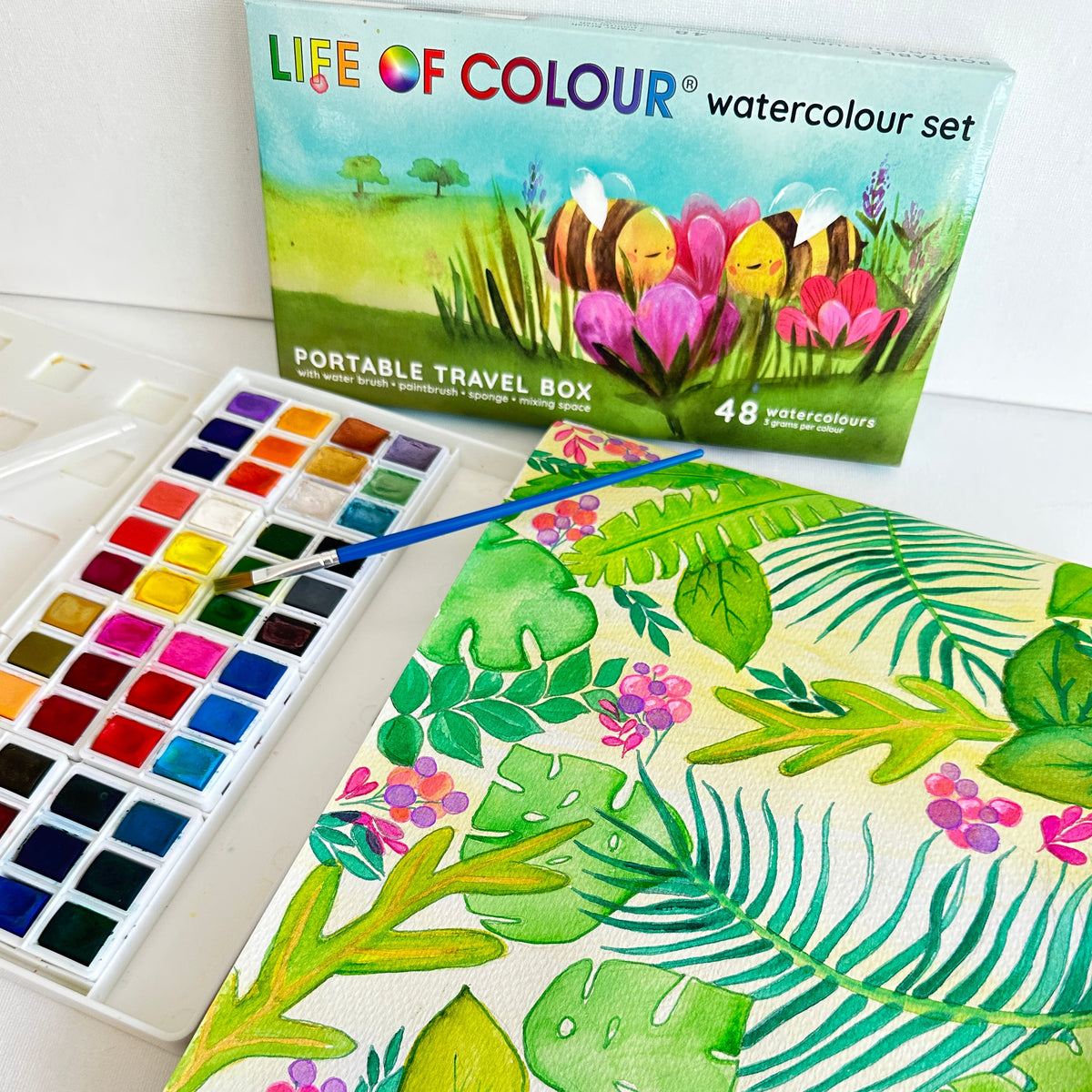 Life of Colour Watercolour Set | Art Resource | Children of the Wild