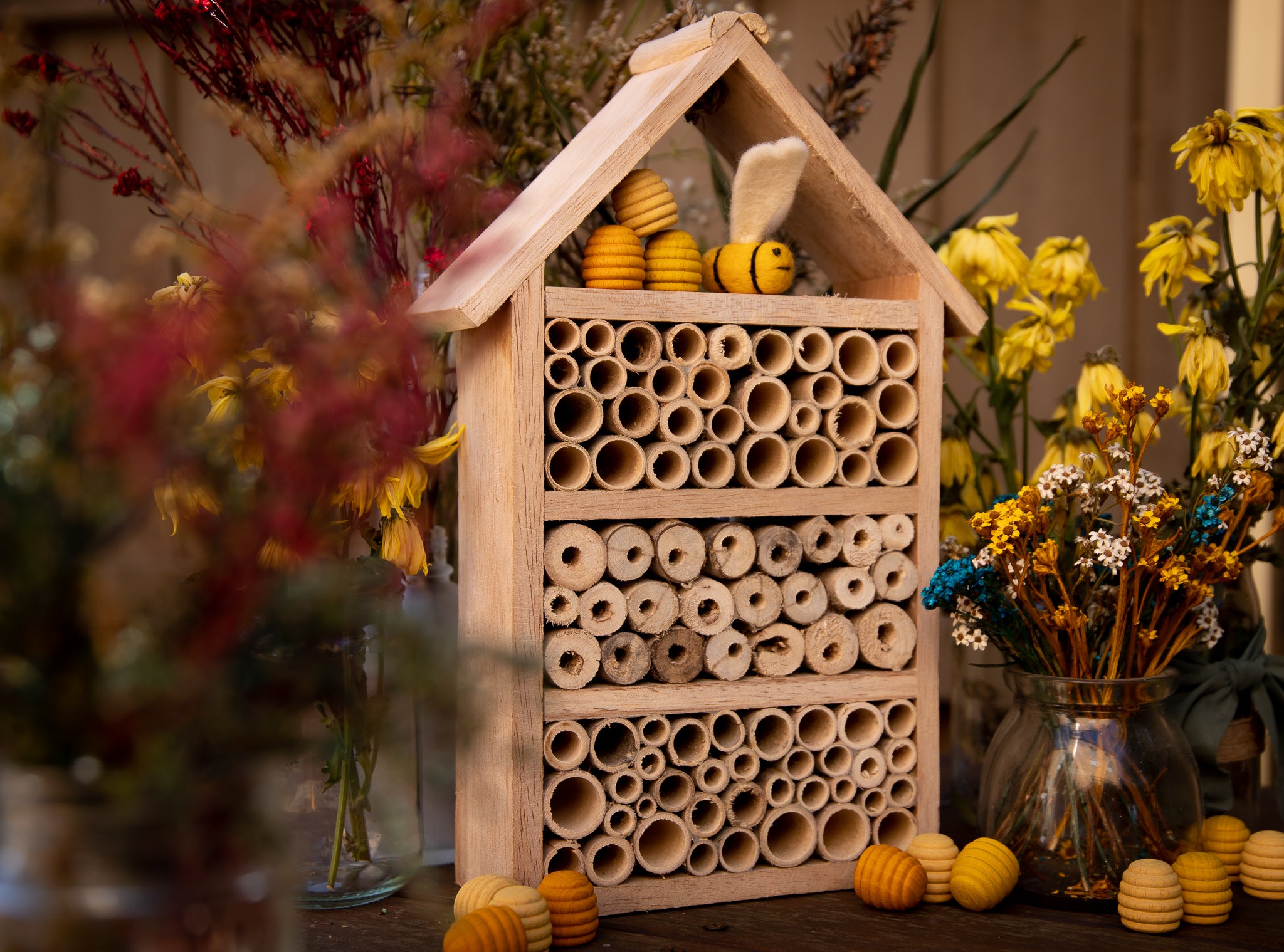 Creative Wood Insect House and Native Bee Hotel