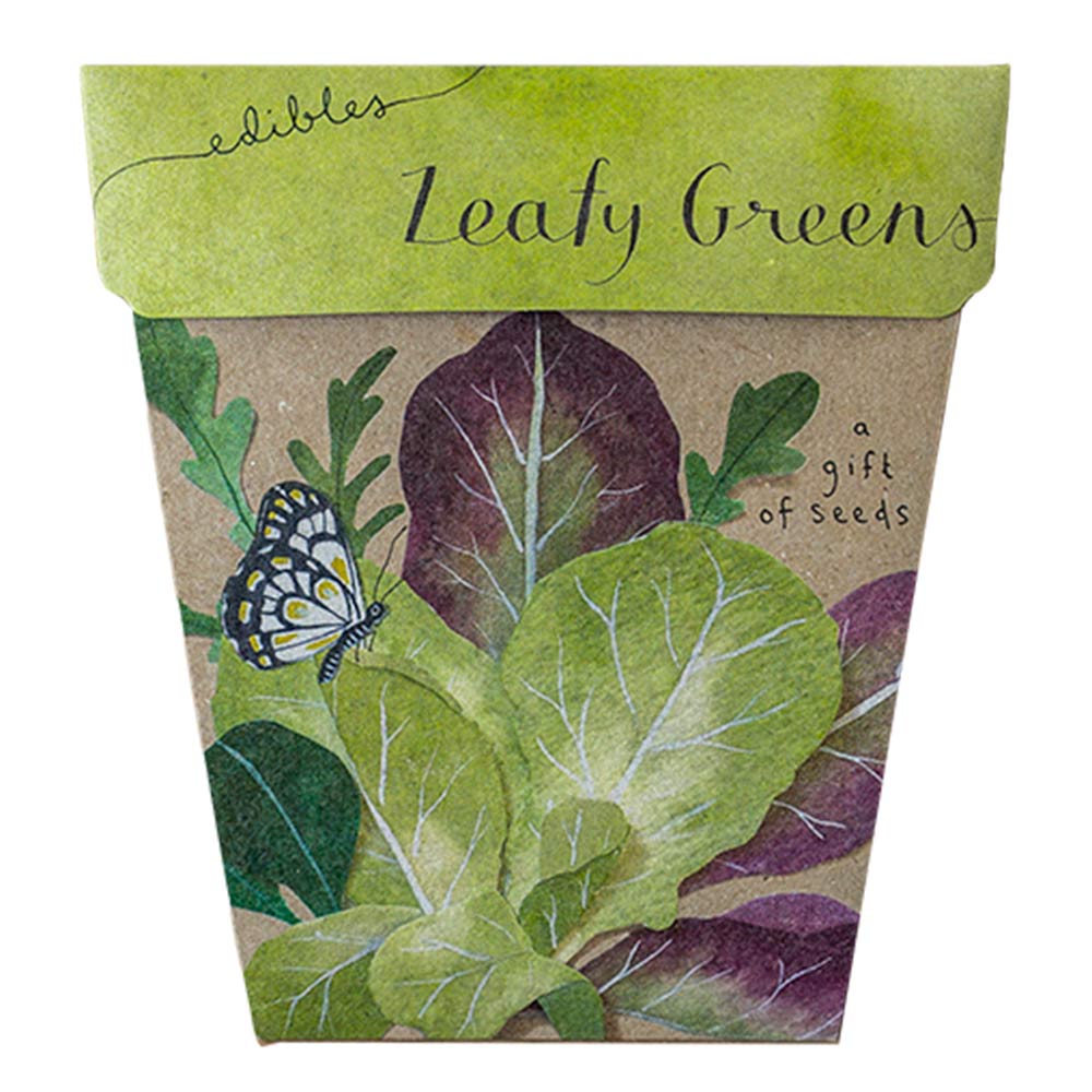 Sow n' Sow Gift of Seeds - Leafy Greens | Children of the Wild