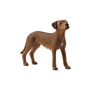 Schleich Rhodesian Ridgeback 13895 | Children of the Wild