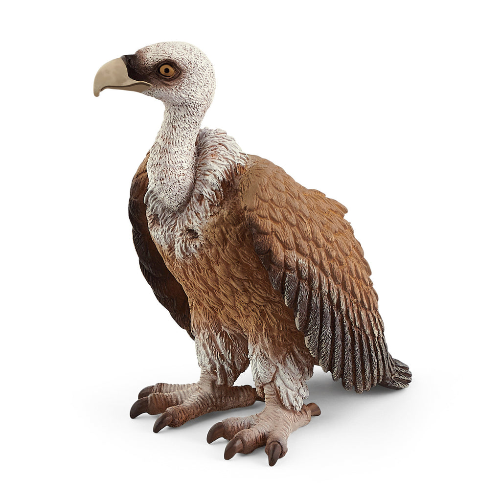Schleich Vulture 14847 | Children of the Wild