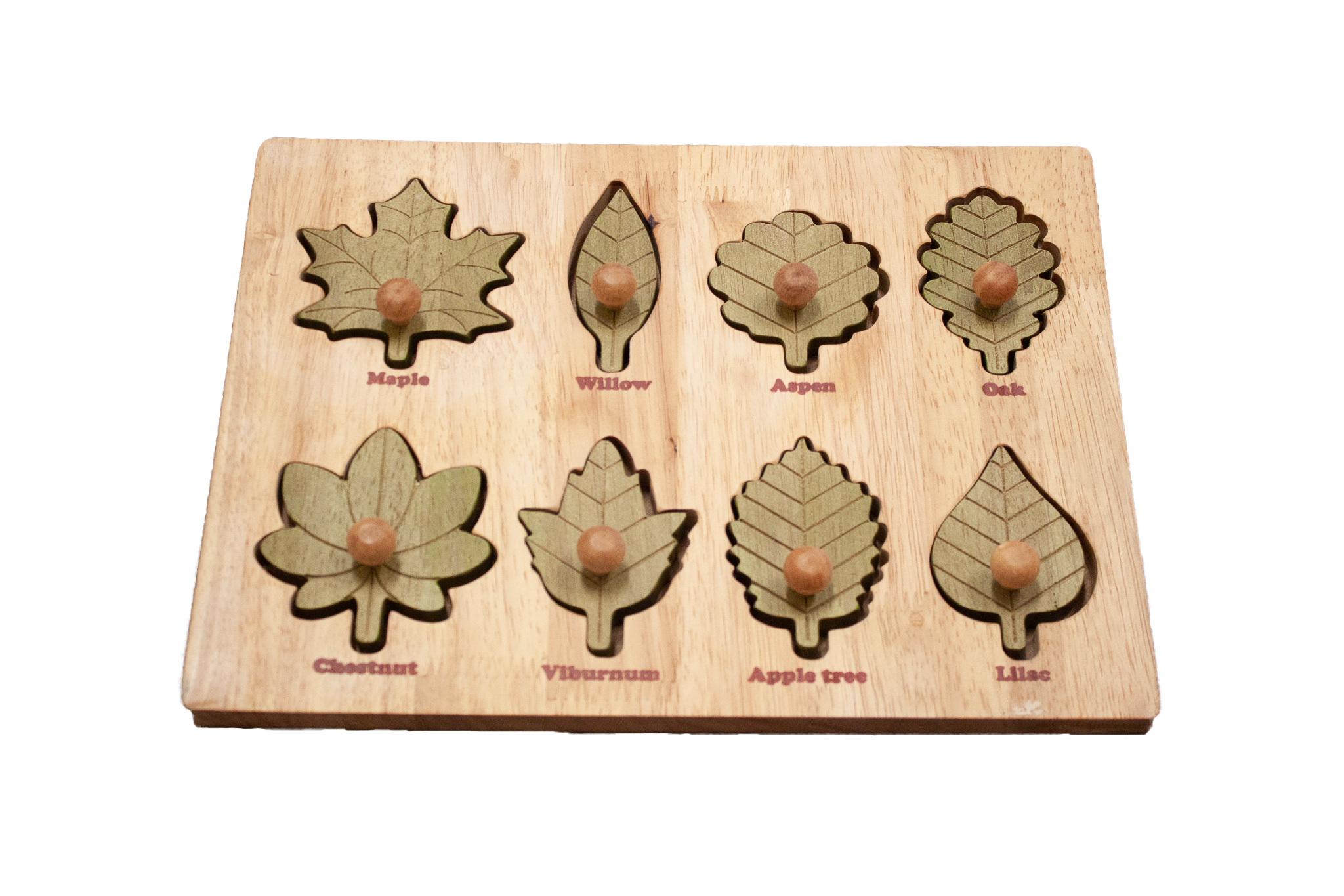 Qtoys Montessori Leaf Puzzle | Children of the Wild