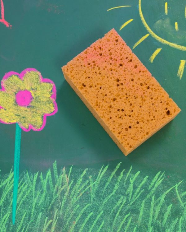 Sedulus Viscose Sponge for Blackboard Cleaning | Children of the Wild