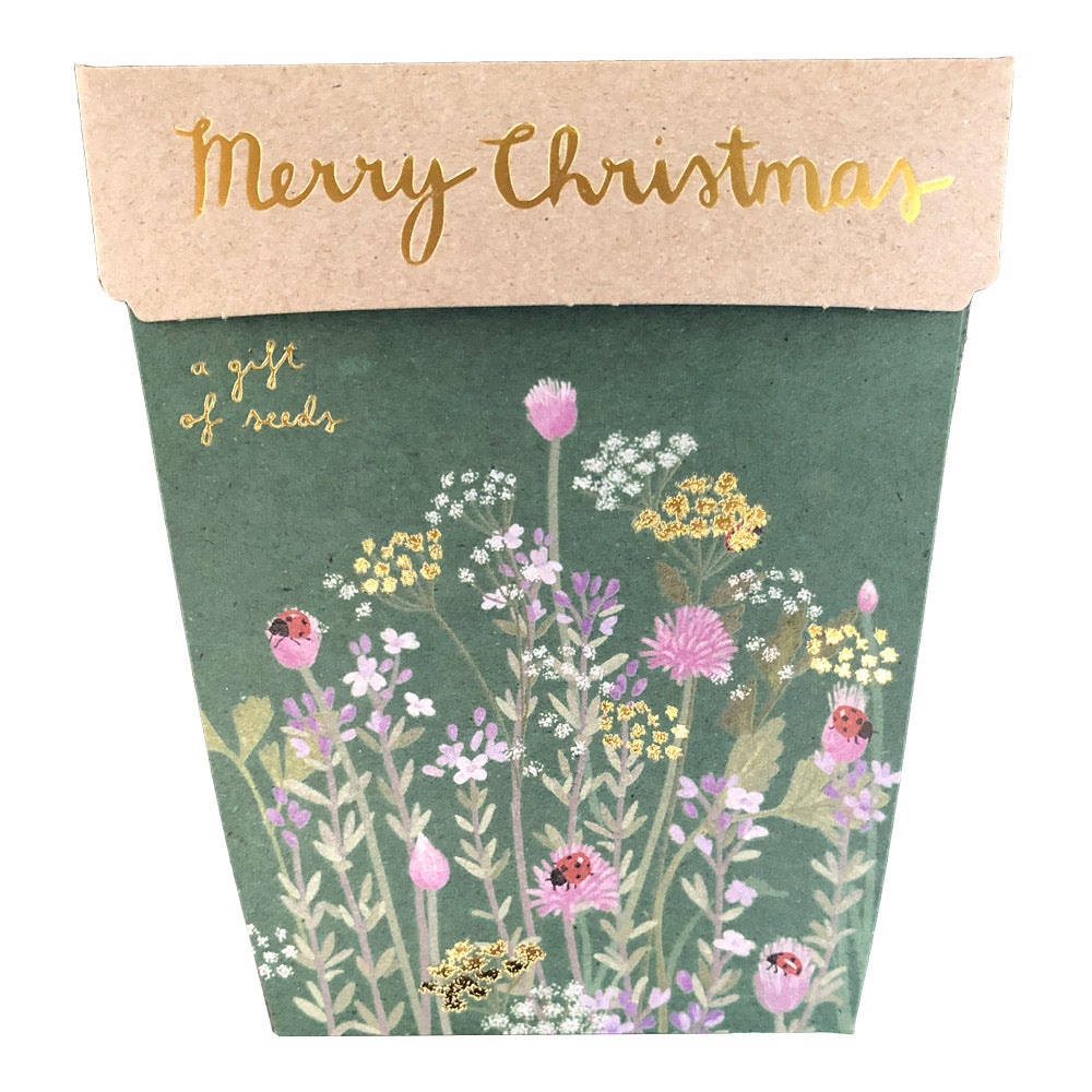 Sow n' Sow - Australian Christmas Herbs A Gift of Seeds | Children of the Wild