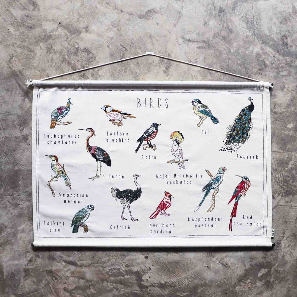 Numero 74 School Poster DIY Kit | Birds | Children of the Wild