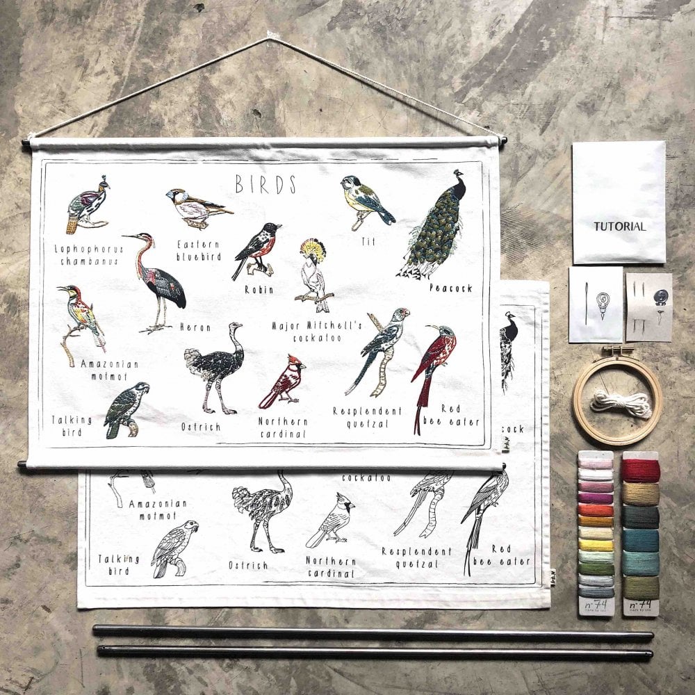 Numero 74 School Poster DIY Kit | Birds | Children of the Wild