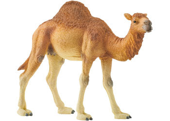 Children_of_the_Wild-Australia Schleich Dromedary Arabian Camel 14832