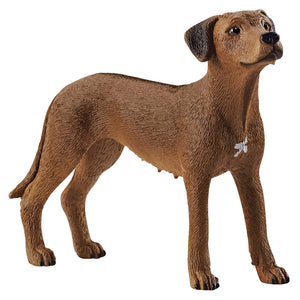 Schleich Rhodesian Ridgeback 13895 | Children of the Wild