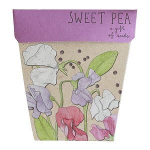 Sow n' Sow Gift of Seeds - Sweet Pea | Children of the Wild